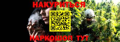 гидропоника Кунгур