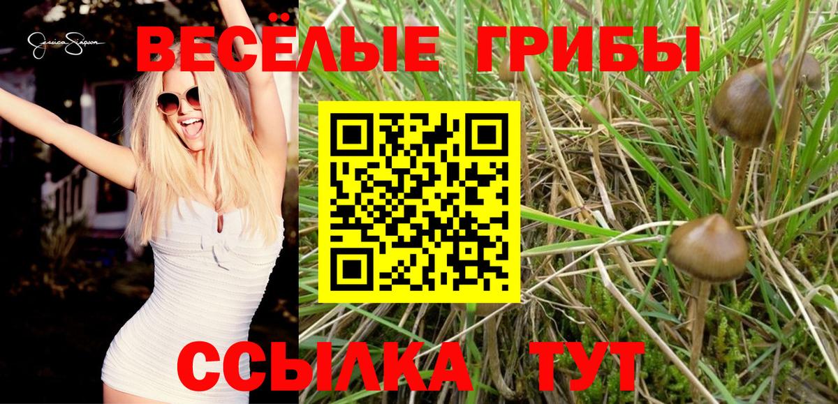 Усть-Илимск  Галлюциногенные грибы Magic Shrooms  где продают наркотики  Вход с VPN 